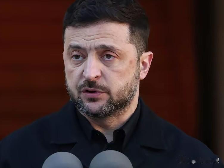 泽连斯基：60天行不行？25年如何？

乌克兰总统泽连斯基又出新花样！

泽连斯