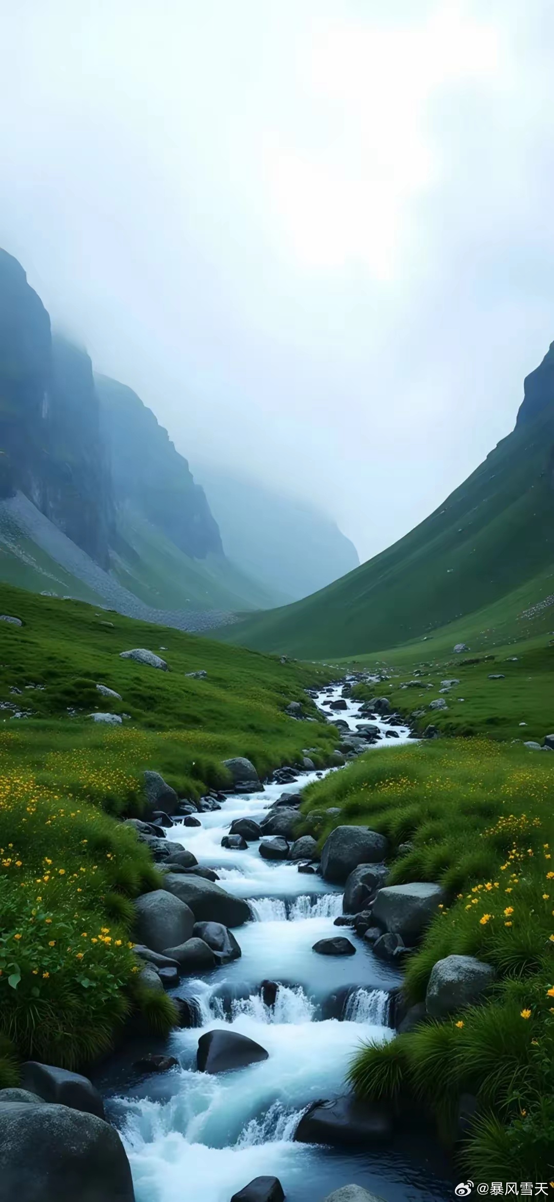 各位老铁早上好！