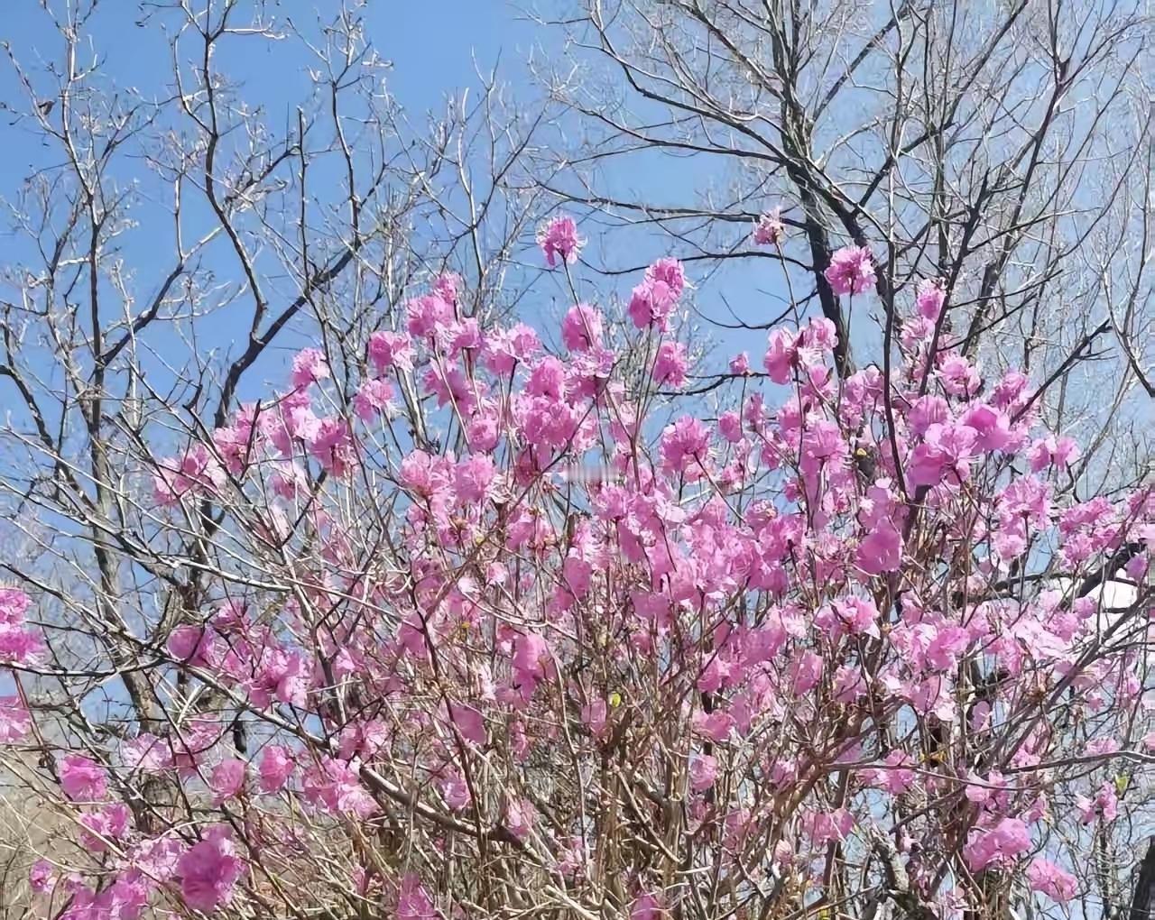 分享你手机里的随手拍风景
