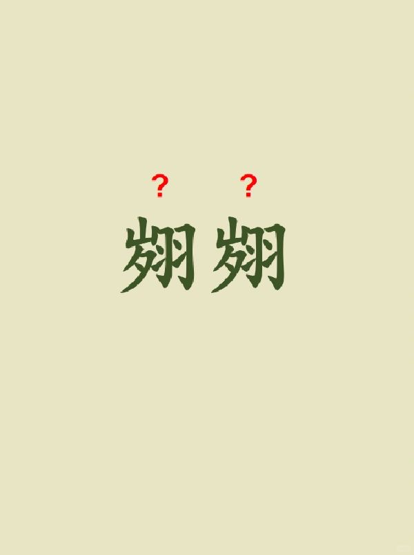 今天来学习——翙翙