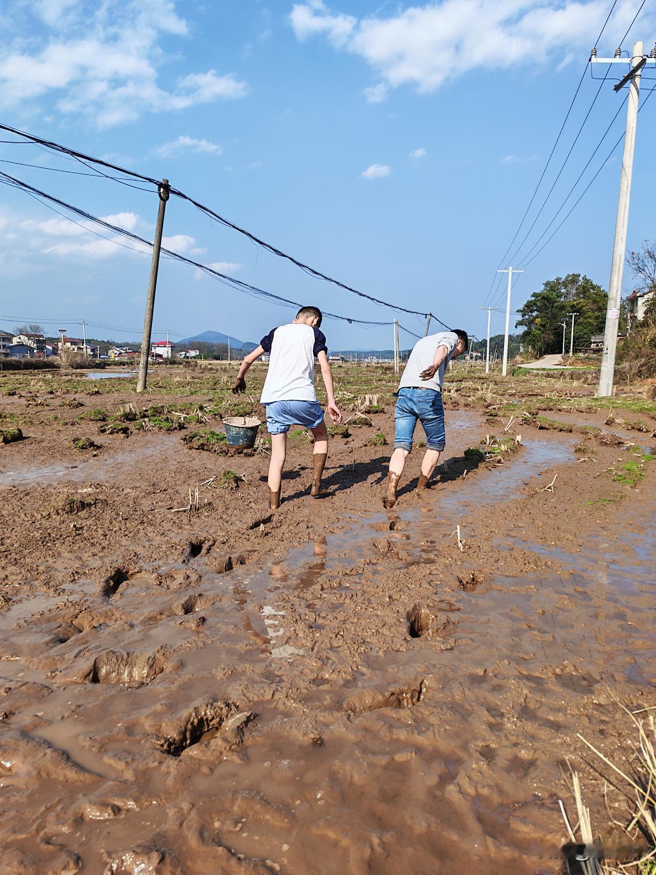 回到农村，老公说他以前捉泥鳅很厉害的，他要带儿子去捉泥鳅，儿子从来没有去田里捉泥
