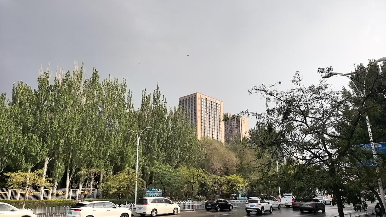 打卡钢铁大街幸福路交叉口！