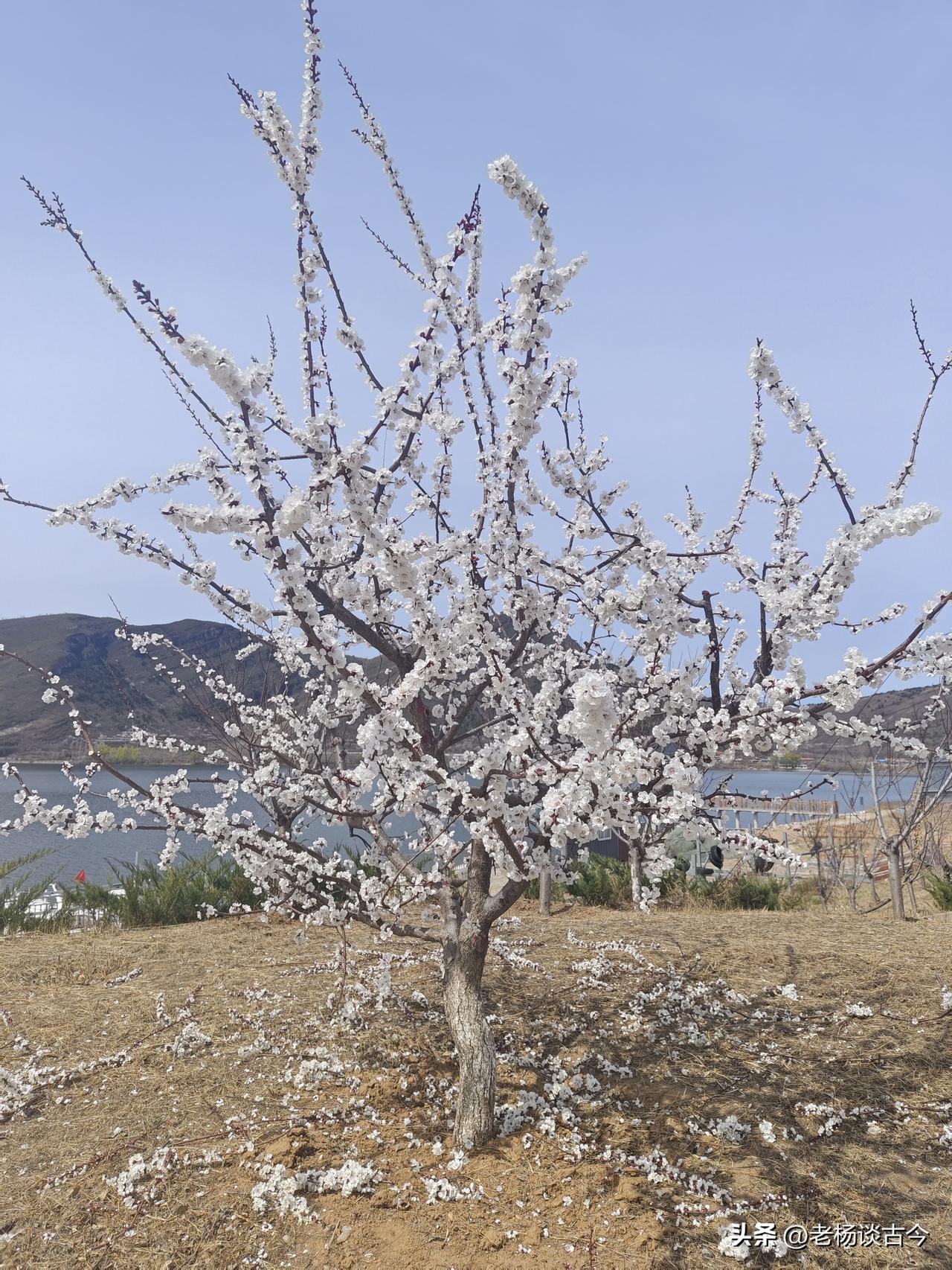 老公起初不愿意，说了句“这有什么好看的，你小时候还没看腻吗？”

我听了这话就有