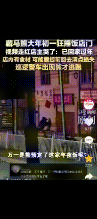 现实版“熊出没”！西藏那曲，两只藏马熊狂捶饭店视频走红了，意外的是，店老板大年初