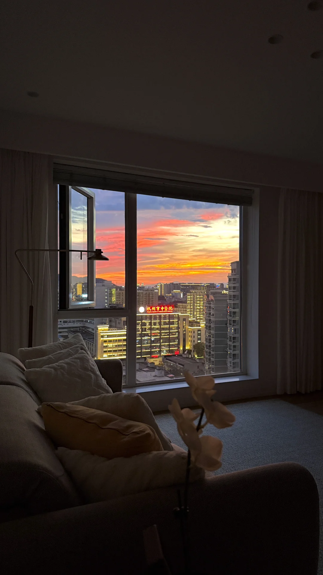 回家看到的这一幕，足以让我原谅这世界100遍