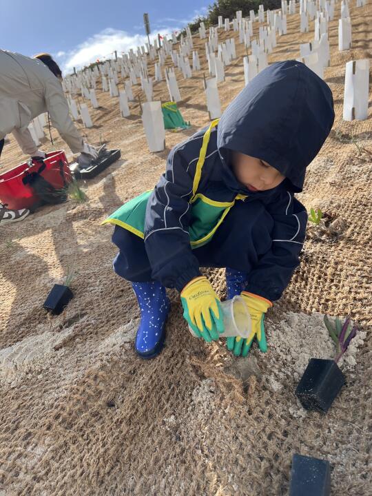 在海边种下一片小小的希望🌱