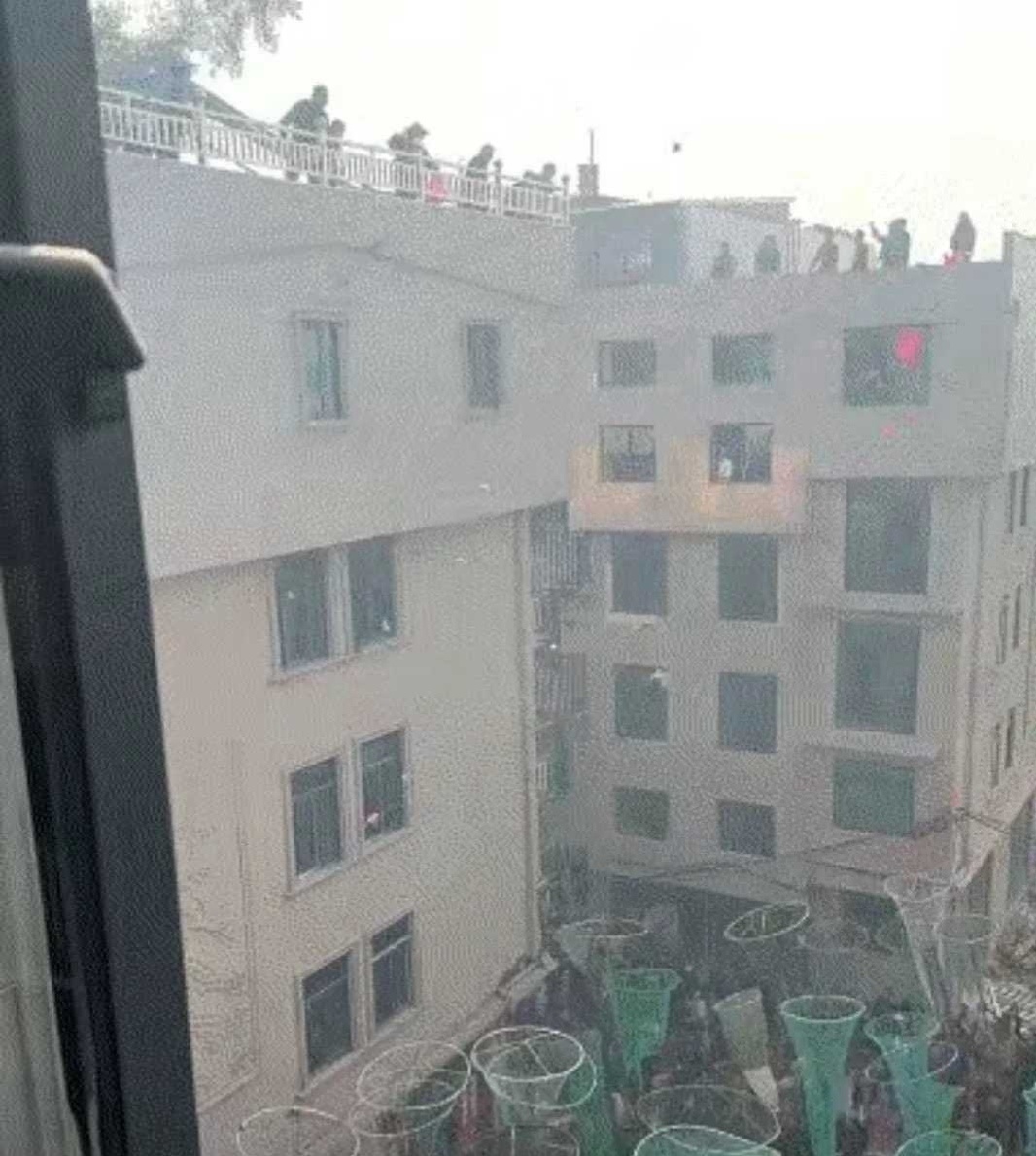 这是在干啥呢