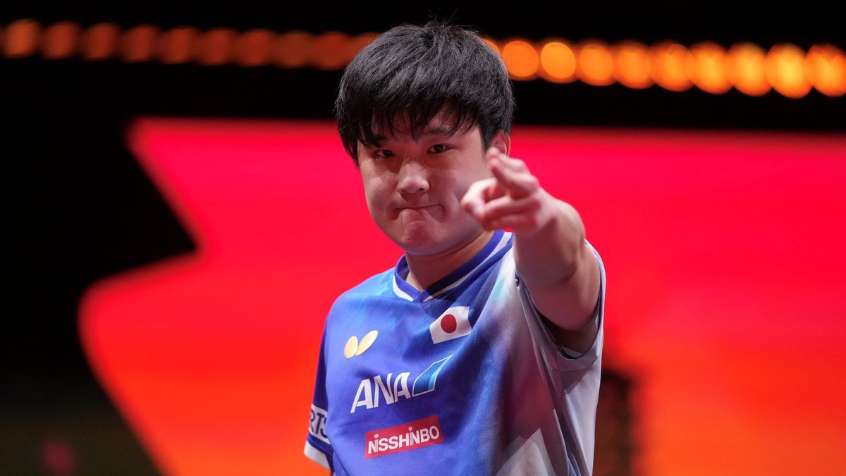 张本智和张本智和wtt香港总决赛2025新闻报道 20251215【乒乓球】张本