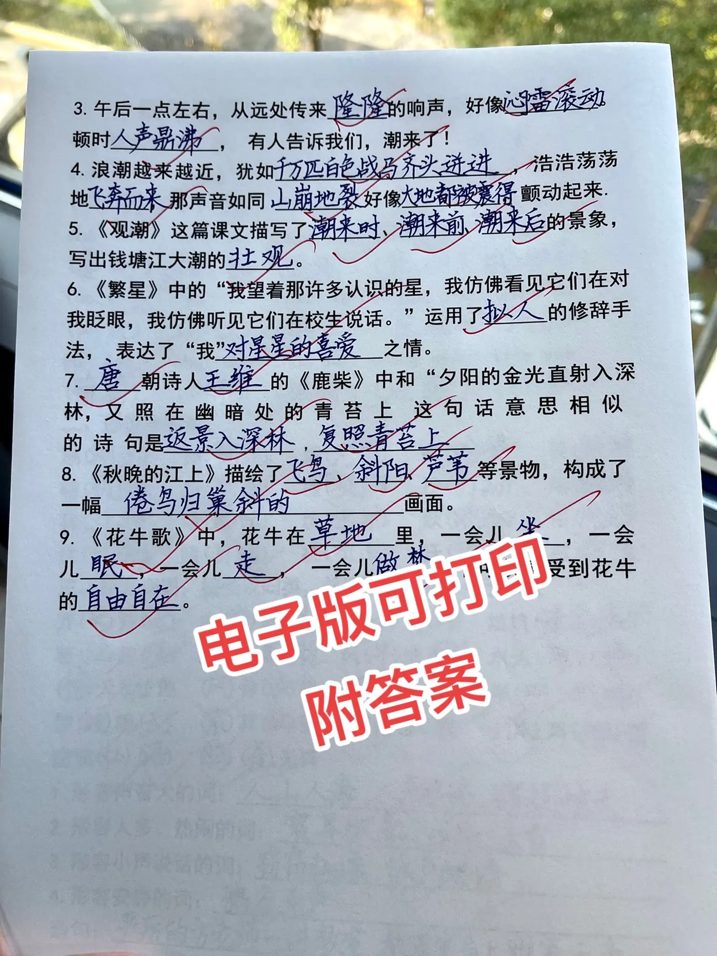 四年级上册语文第一单元基础知识练习‼️。四年级上册语文第一单元基础知识...