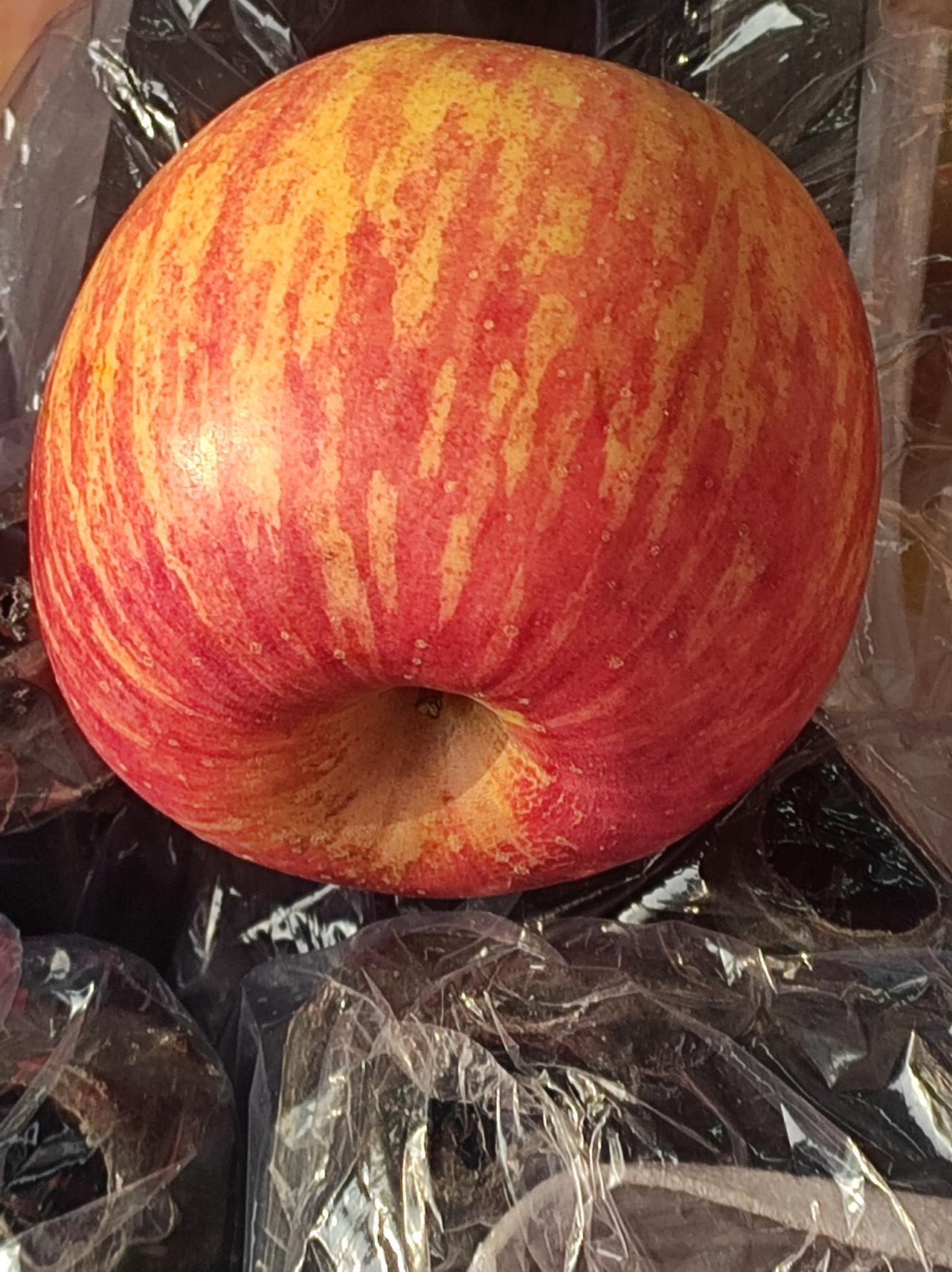 一间苹果店

纬四路中段北侧，有一间苹果店，去年就发现了，简陋的门面前，摆着七八