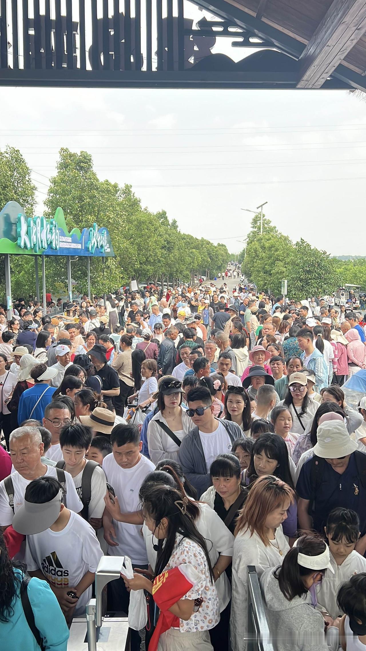 五一旅游，城市游占主导，5A4A景区是其中的大客流量亮点，那么县城游和乡村旅游属