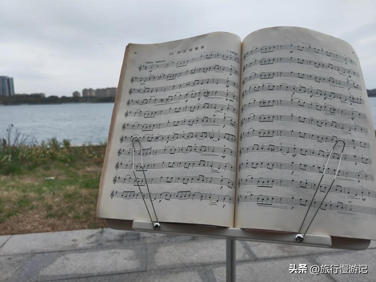 湖边练琴打卡第四天：AI时代下的乐器才是未来的硬通货。在AI浪潮匈涌的时代，众多