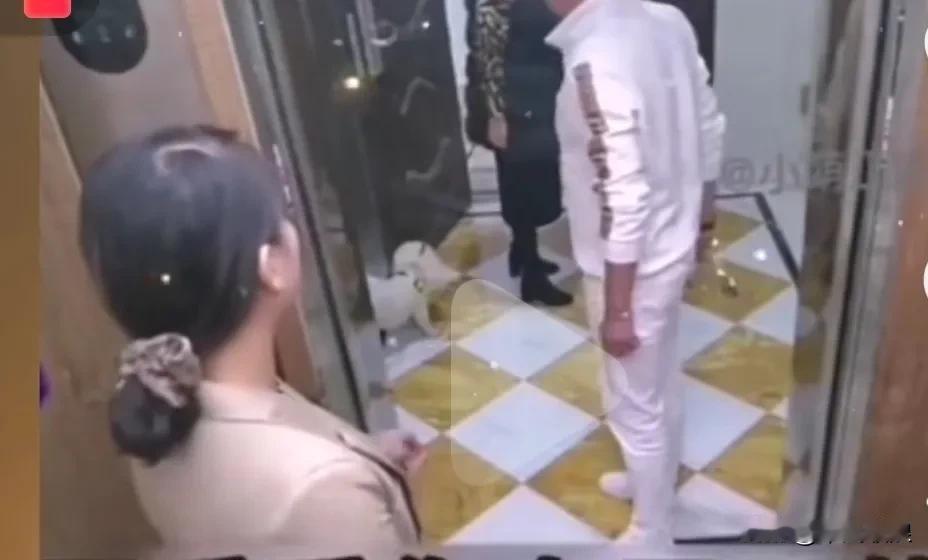白衣男子妇夫坐电梯想按关门键，刚好一位短发女人牵着一条狗狗叫等一下，白衣男子问她