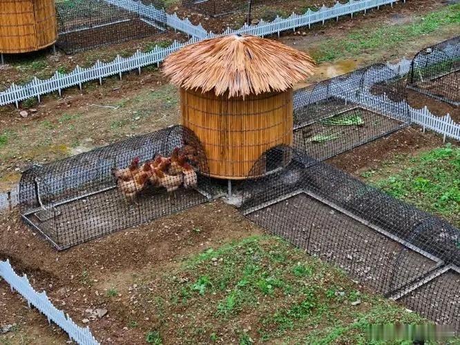 不必抬杠，走进田间地头、炕头，用事实说话，听农民的心声，让农民自愿选择，是走生产