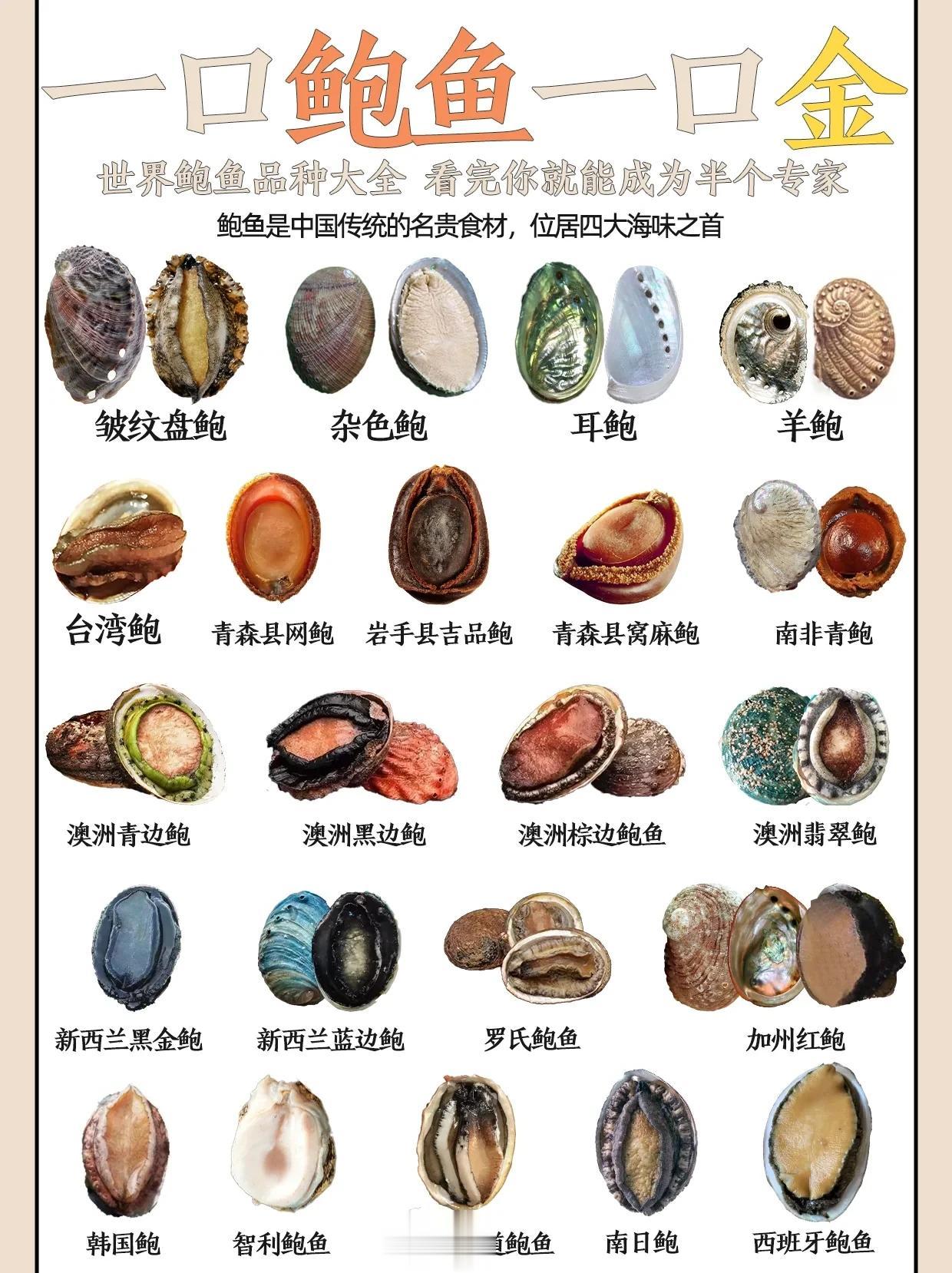 世界鲍鱼大全！看完小白都能成为半个专家！
金秋时刻，又到了吃鲍鱼的季节！每年秋季