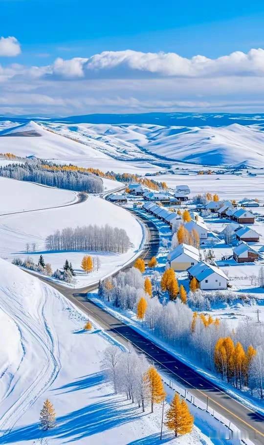 北国风光
千里冰封
万里雪飘
冬阳里的小憩，
邂逅生活的温柔。