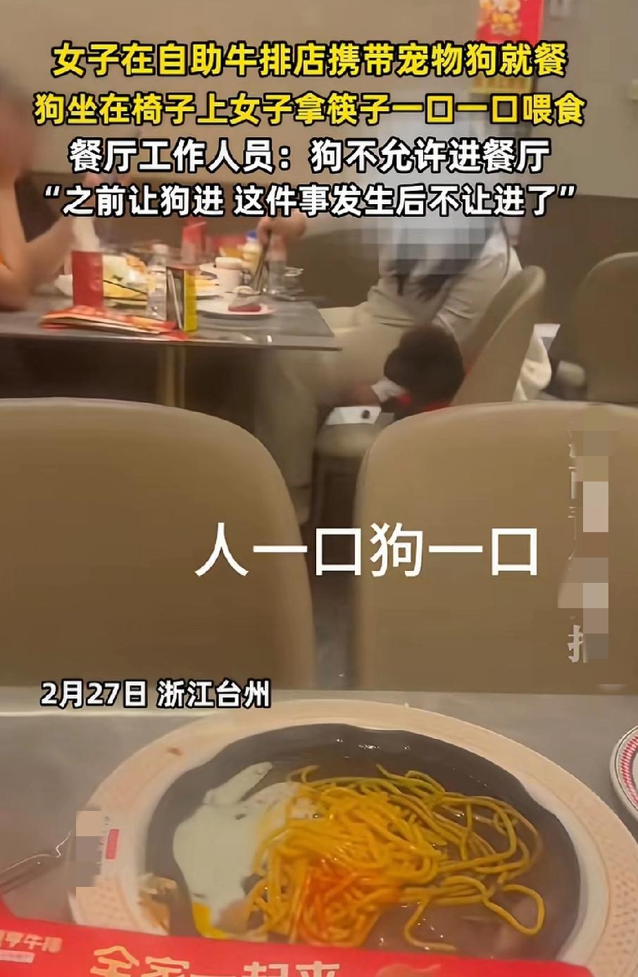 近日浙江台州，一36岁女子带着宠物狗去吃自助牛排，狗坐在椅子上，人吃一口狗一口，