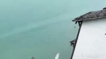 0800早上好！开启元气满满的一周！阳光正好，心情没好！ 