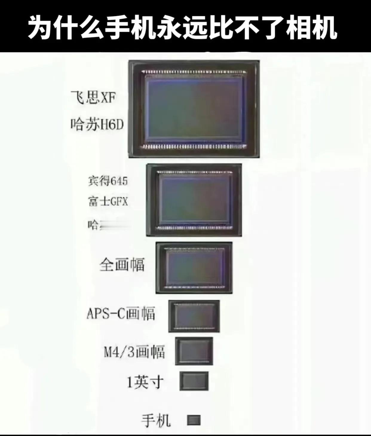 为什么手机永远比不过相机？！原因找到了[马思纯的微笑]