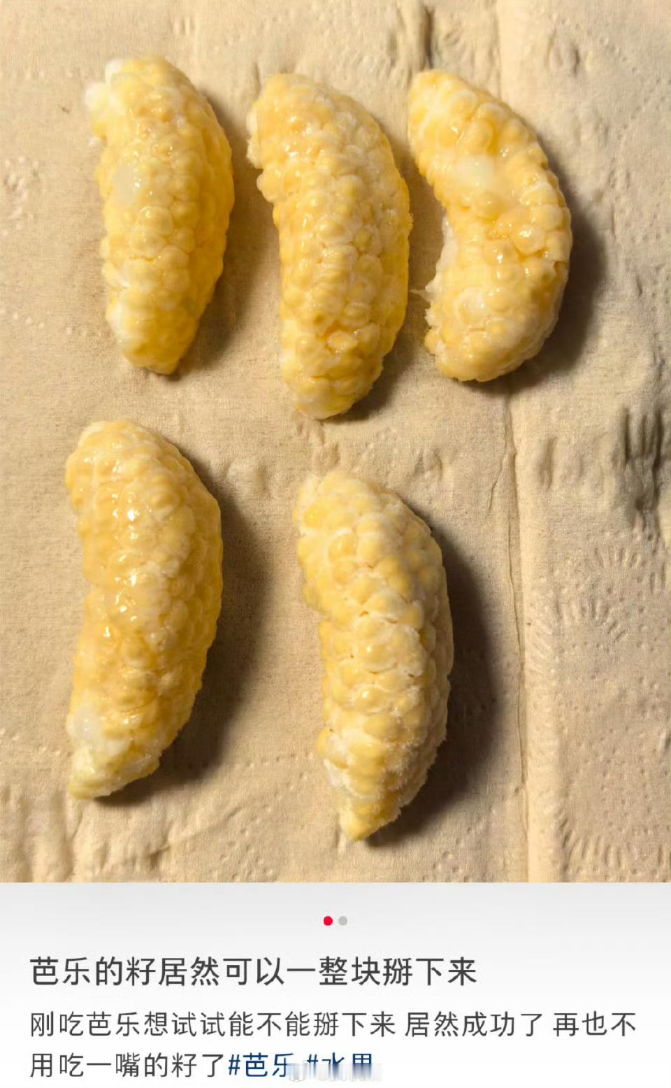 芭乐的籽居然可以一整块掰下来这种硬邦邦的一般都是普通番石榴，口感很硬。胭脂红芭乐