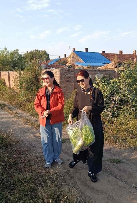 一个月几百块雇保姆，住三层小楼，院里停着皮卡，儿女双全——这样的日子，你心动不心