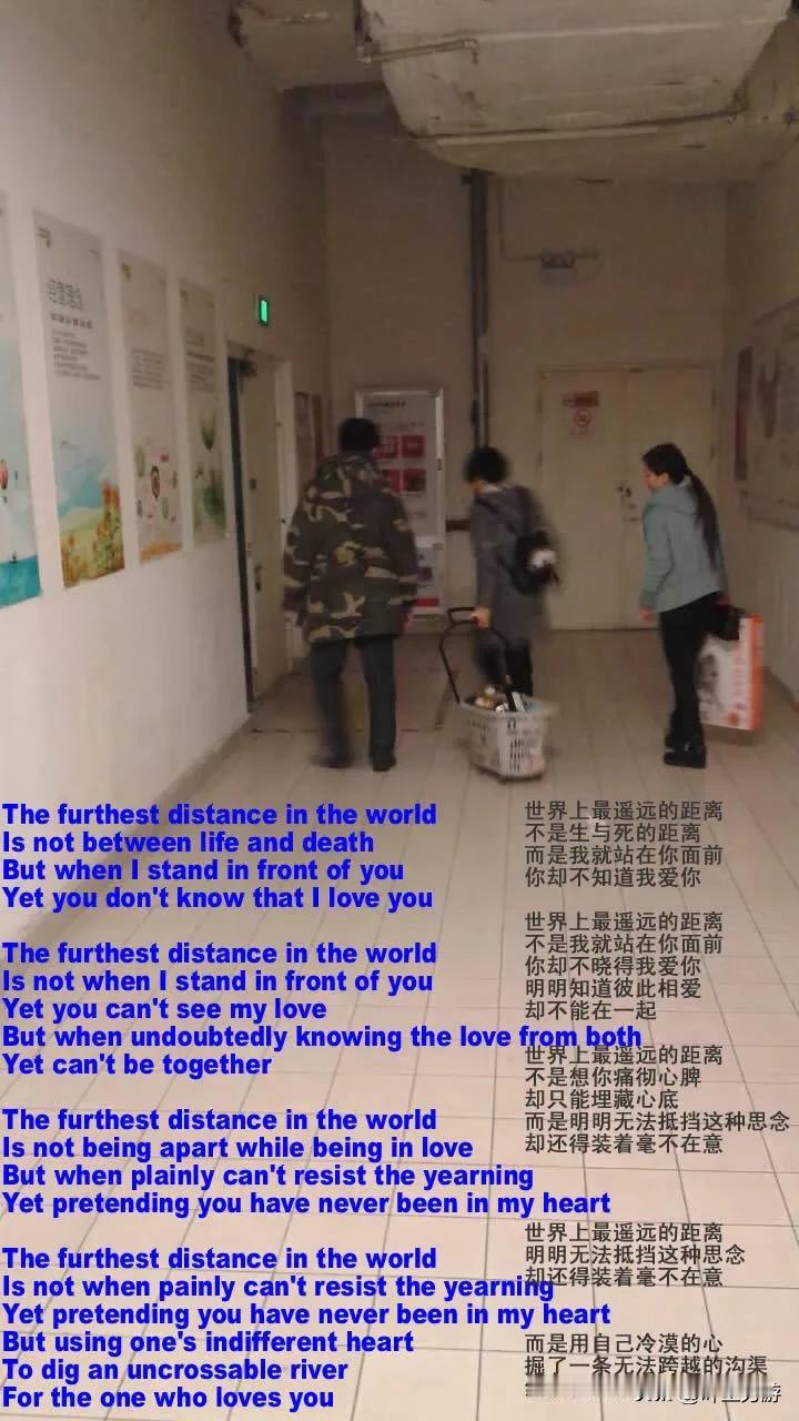 The Furthest Distance in the World 《世界上最