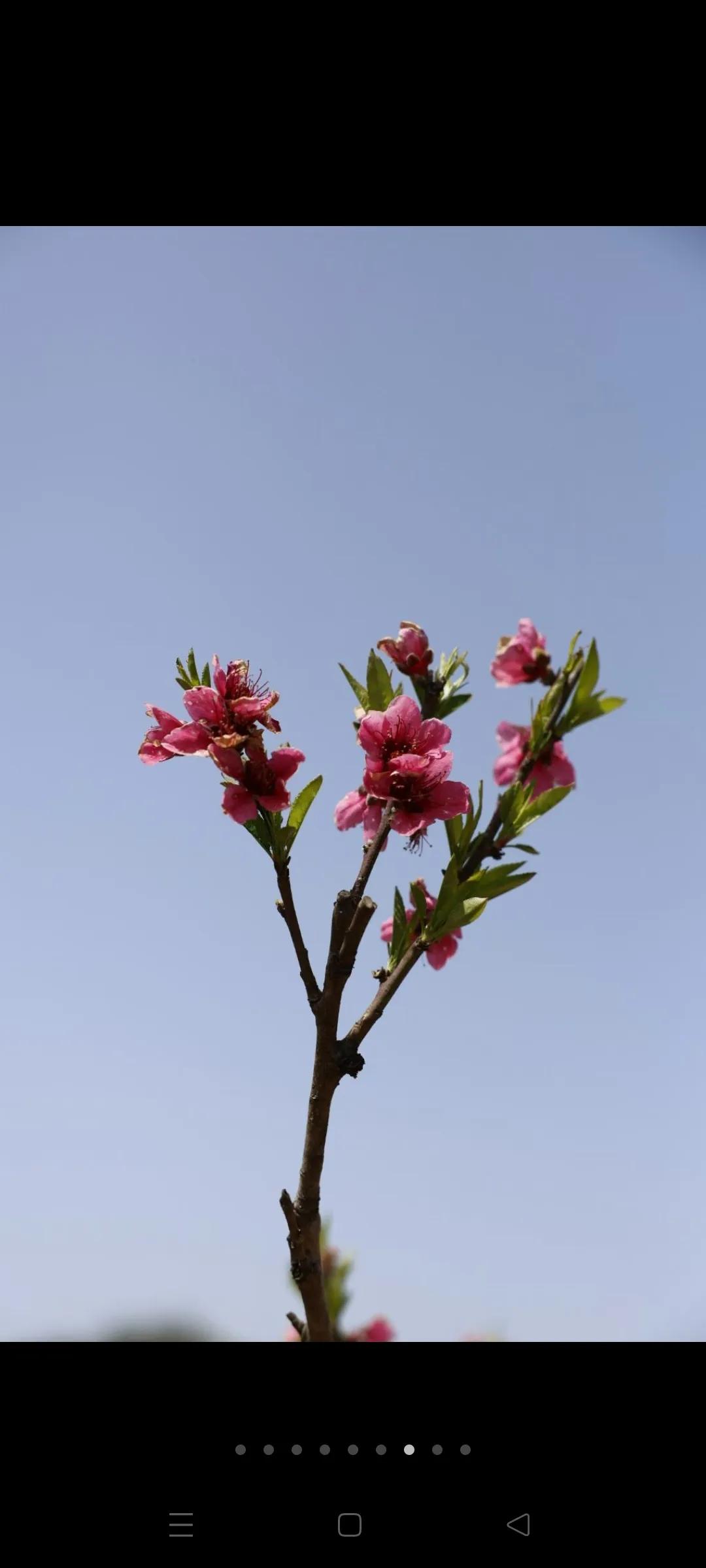 人到中年，你的手机是24小时开机吗？我是一个80后阿姨，打工人，没有做什么生意，