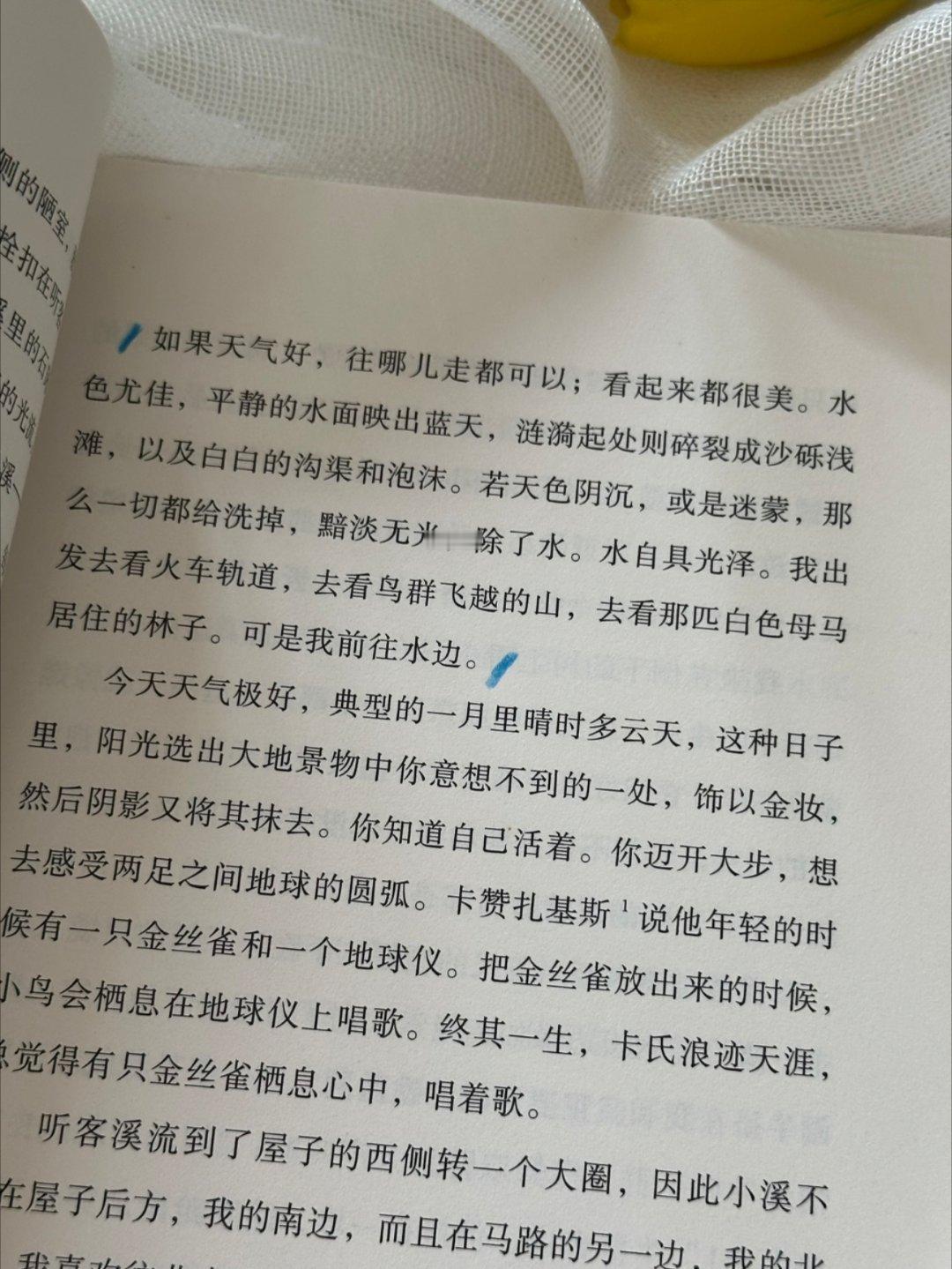 一眼沦陷这本书真的太太太治愈了！！ 
