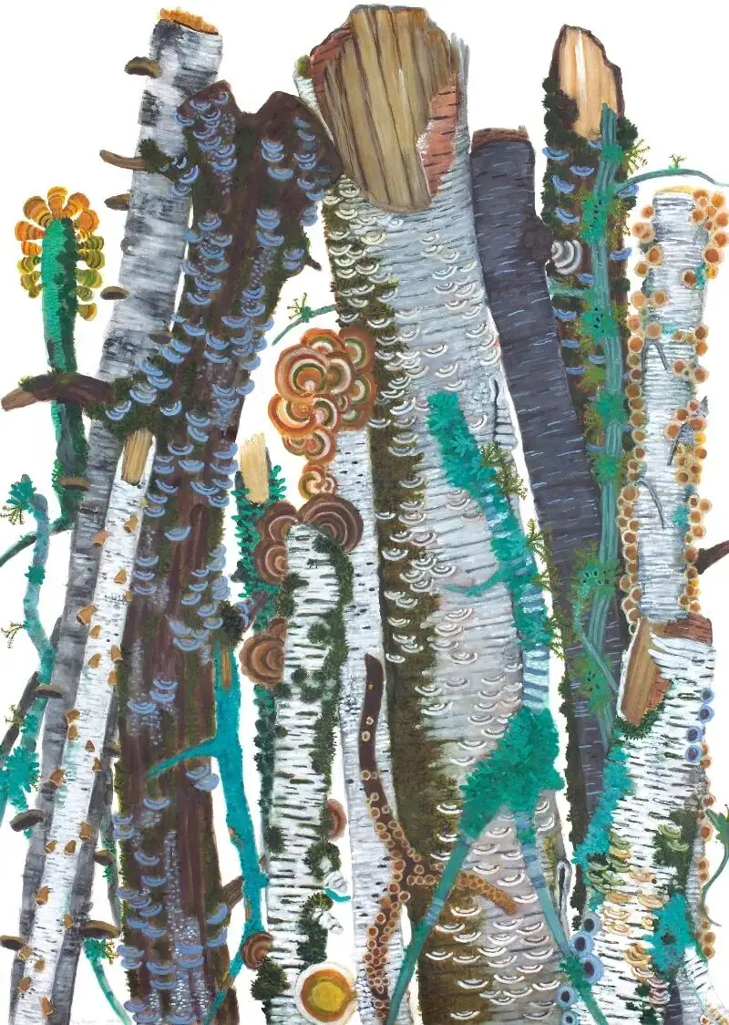 美国艺术家Katie DeGroot（1955年）绘制了大量树枝的“肖像”作品。