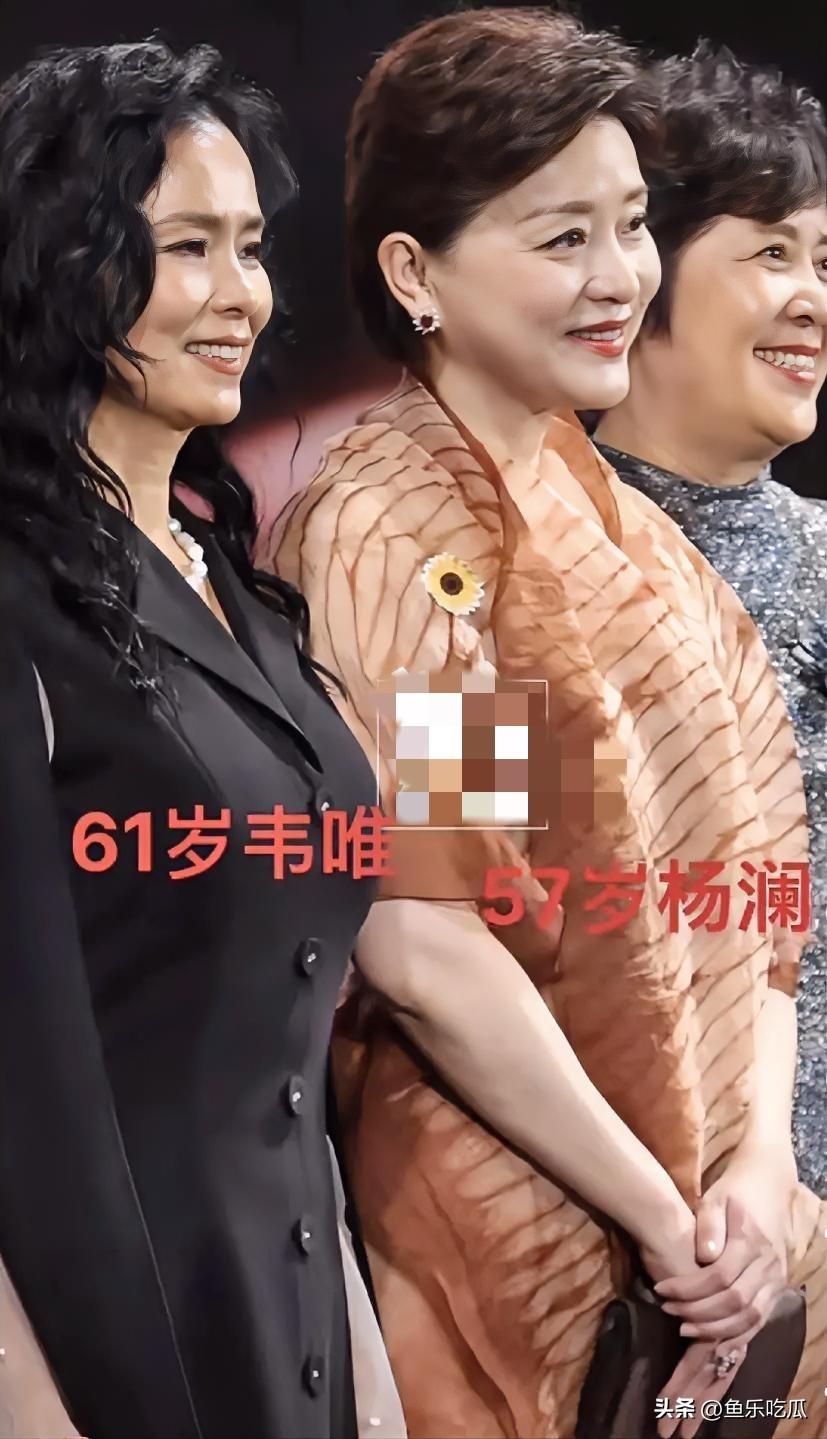 看到这张照片，你作何感想？我觉得都已老也，当年韦唯吟唱的《爱的奉献》时，是多么的