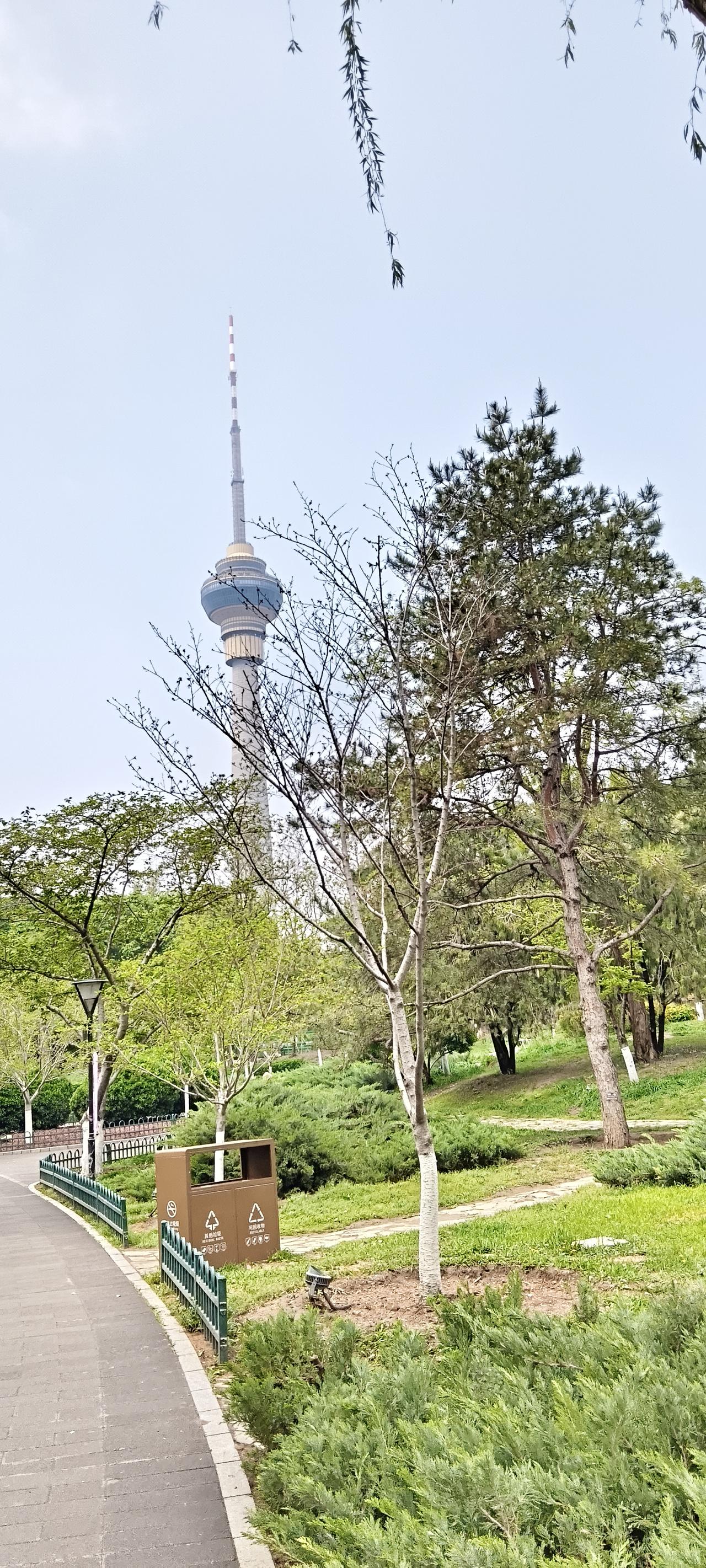 春日生活打卡季 公园里绿树成荫，远处有高塔。