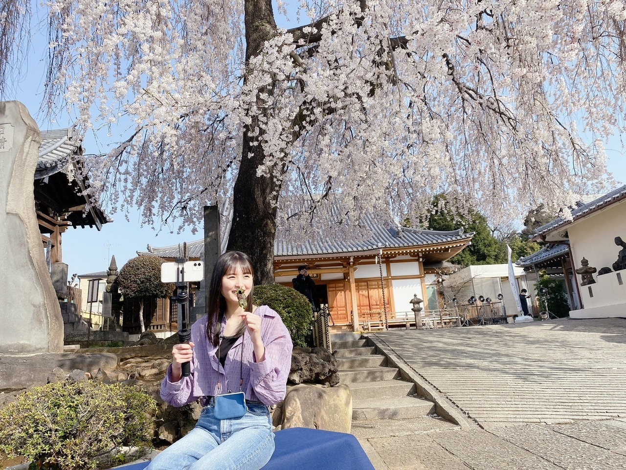 𝐒𝐀𝐊𝐔𝐑𝐀 𝐁𝐋𝐎𝐆｜❀  2026.08.01夏天＊無断