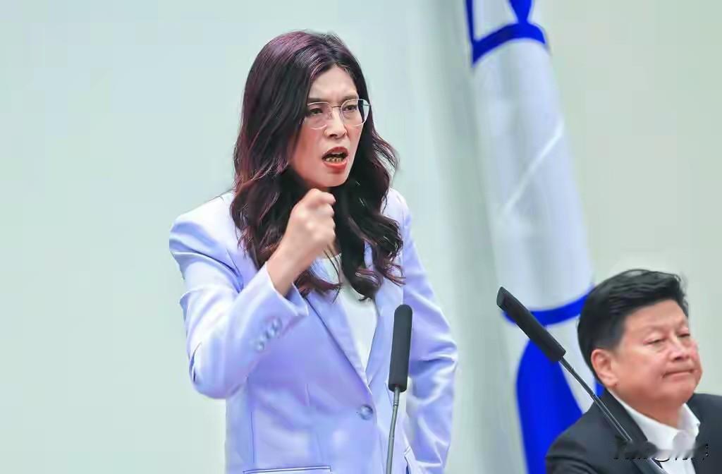 郑丽文访美具体时间公布，既要联络大陆，又要和日美保持友好
目前郑丽文访问美国的日
