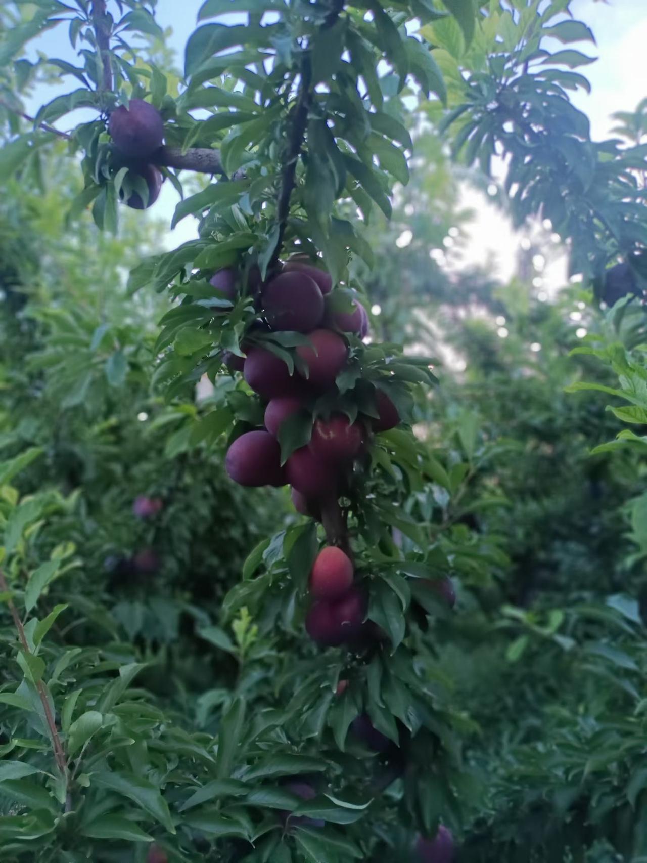 分享一下你随手拍下的照片