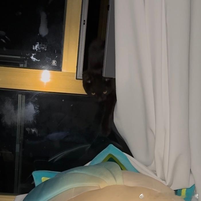 崩坏星穹铁道[超话]崩坏星穹铁道星穹铁道日常 既然你选择了进我卧室，那就说明你想