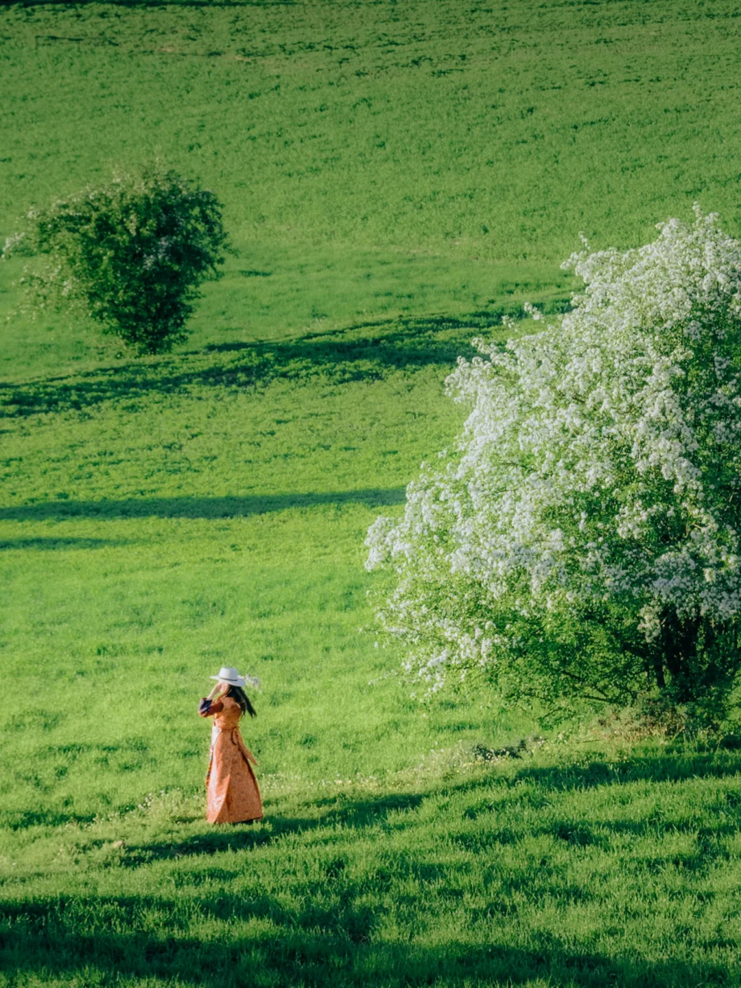 一篇笔记讲清楚，川西接下来的春天该去哪玩
