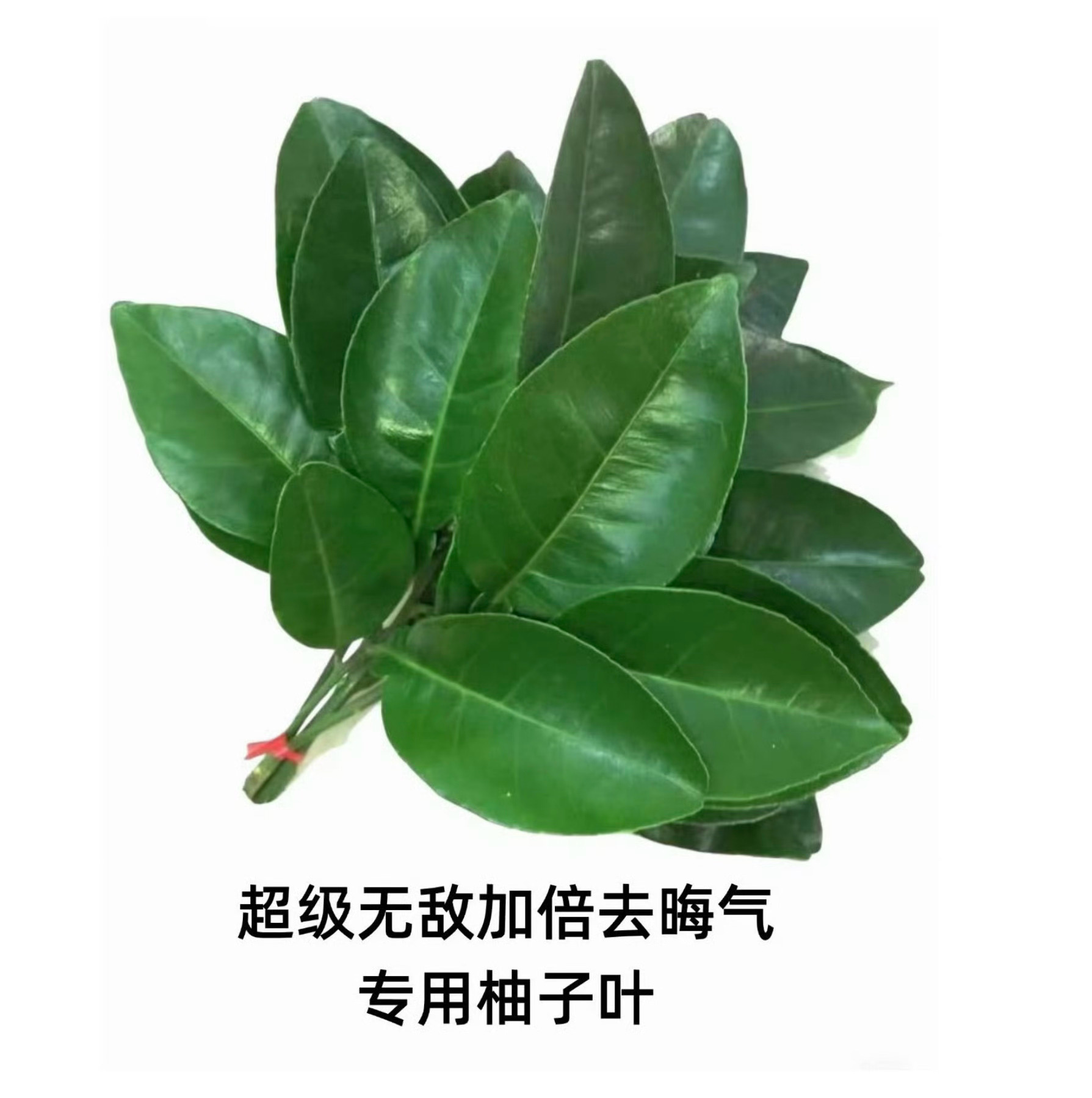 诈骗剧能不能赔我钱