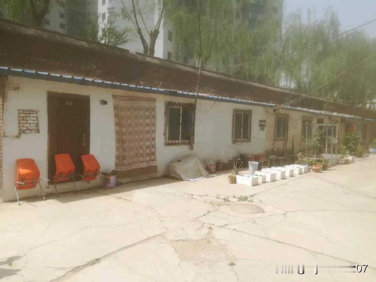 老旧的院落总是藏着许多故事。那斑驳的墙壁，仿佛是岁月的画卷，每一道裂痕都诉说着往