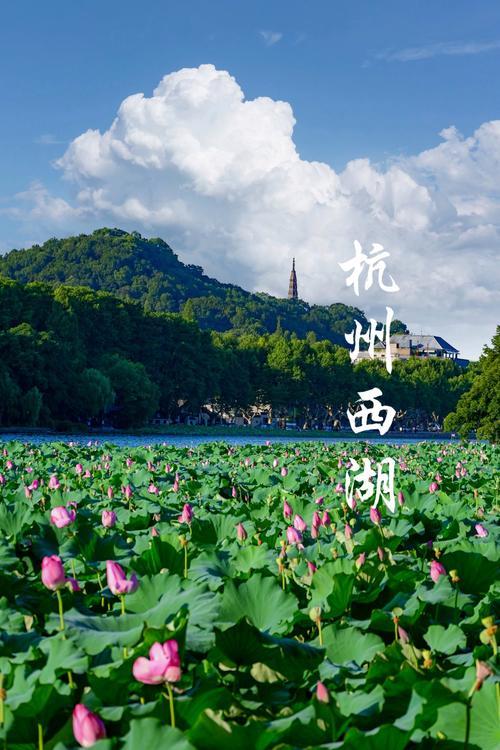 看一下2026年五一假期第一天全国10大景区游客数量比较！2026 年五一（5 