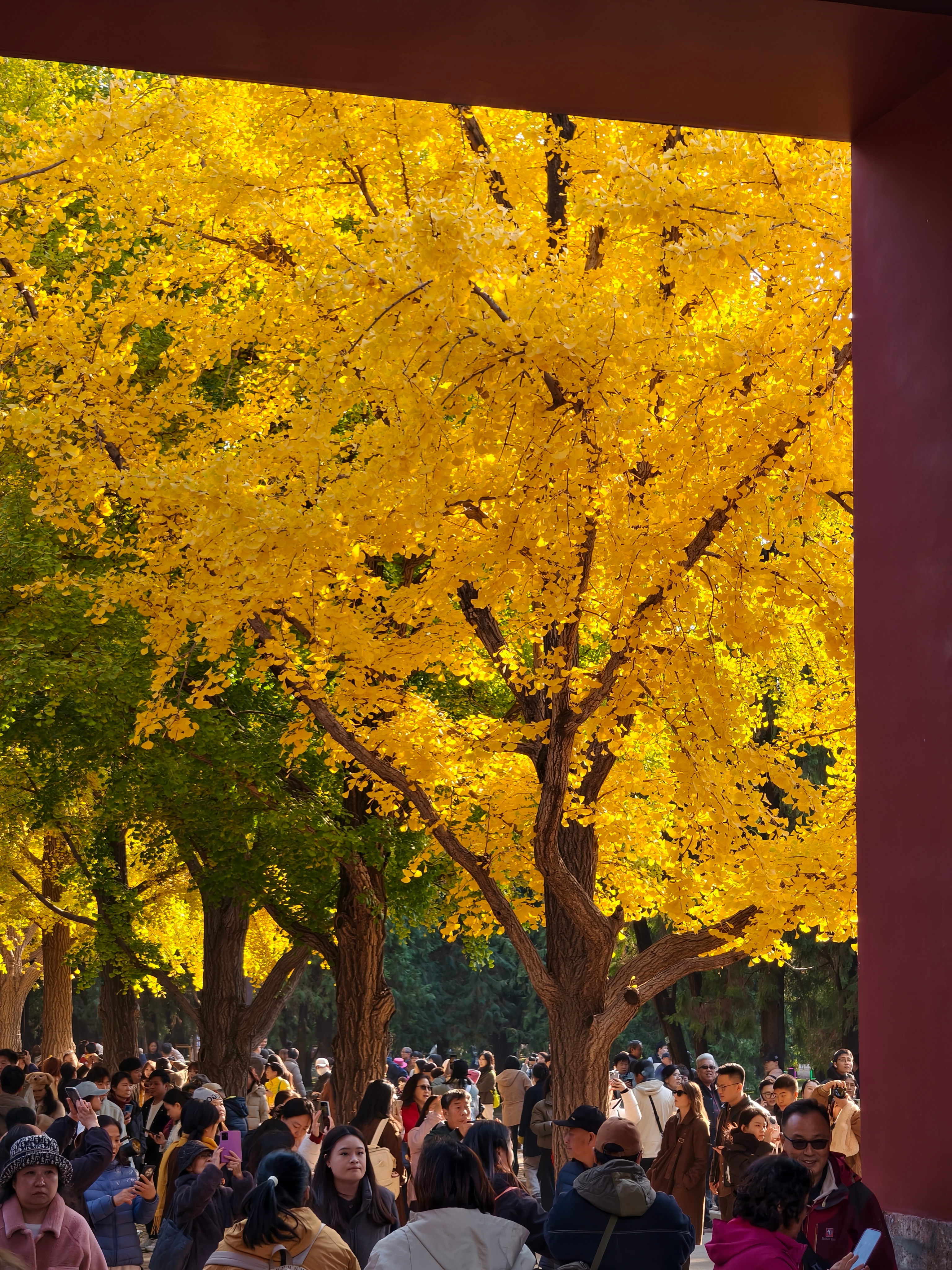 地坛的海 是人山人海的海🍂卷妹的日常ootd秋  ​​​