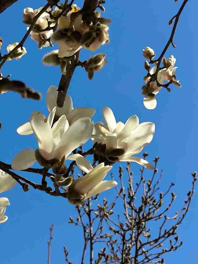 我的今日状态：😁轻松愉快
我这里的天气：☀️晴天