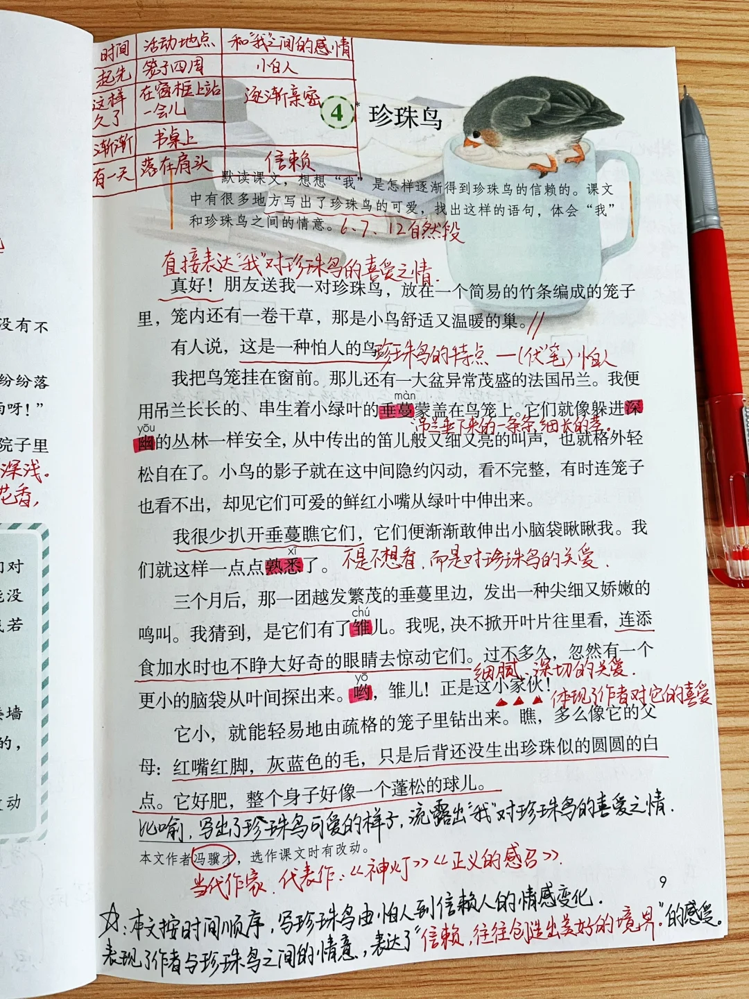 五年级上册2023版《珍珠鸟》课堂笔记