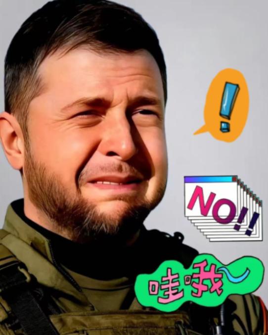 果不其然！乌克兰总统泽连斯基宣布了！
2026年1月7日，乌克兰总统泽连斯基在访