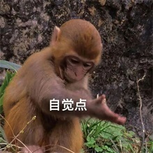 大过年的，大哥你不发个自拍合适吗？（bushi👉🏻👈🏻）