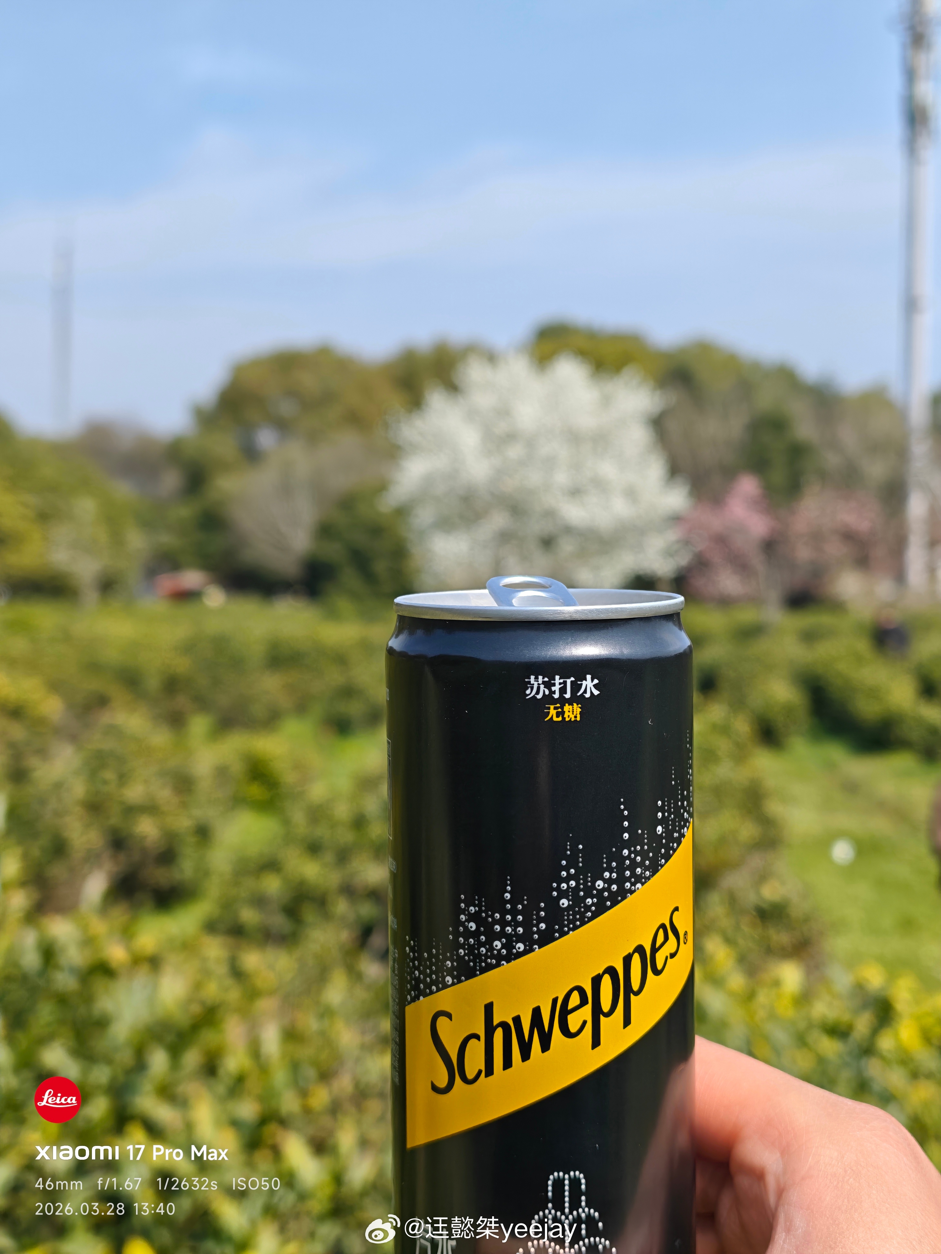 这棵树白花花蛮好看懿桀