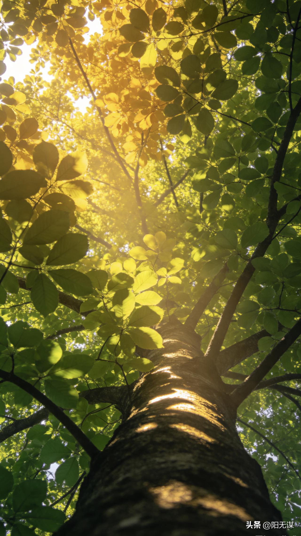 富有智慧的一句话：
“读书越多的人，嘴里越没有华丽的词藻、没有引经据典的说教，可
