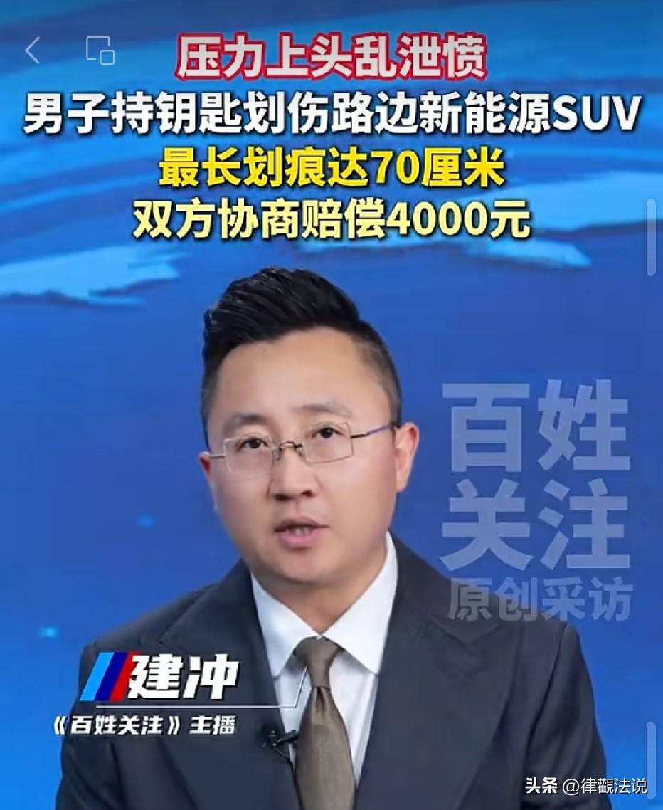 云南昆明，男子心里压力大，想找地方发泄。他看到路边停着一辆新能源SUV，直接掏出