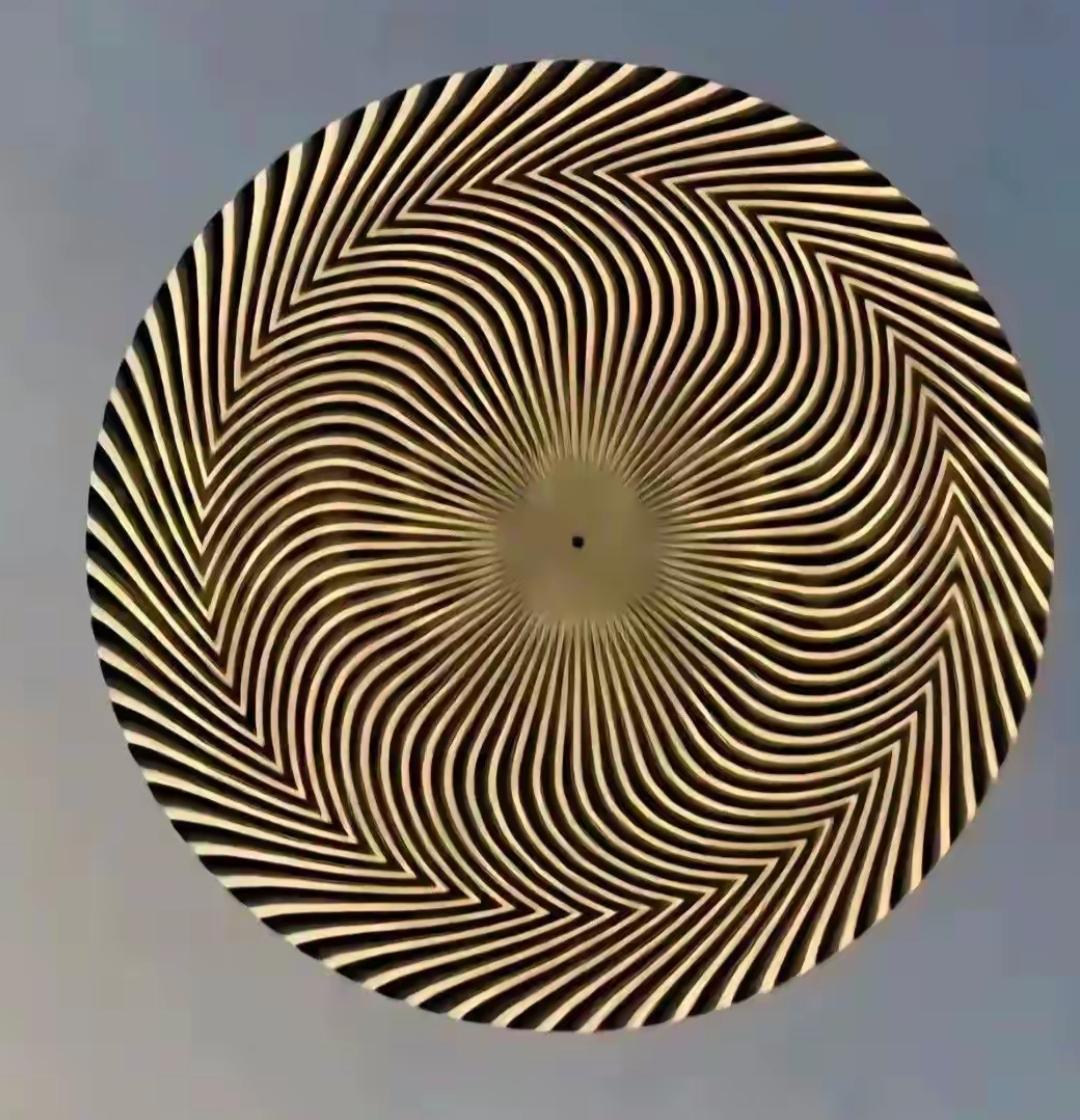 这图案看着有点晃眼。考一考，你的眼力如何？你能最多看到几个数字？把数字说出来。迷