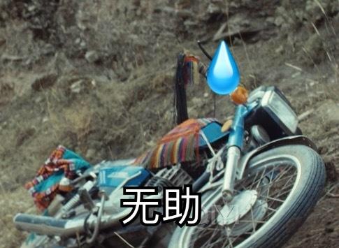 宝贝回家生命树 ​​​