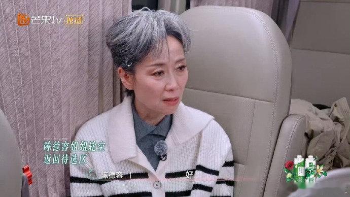 陈德容再次轮空乘风2025《乘风2025》三公组队中，陈德容因沟通不合错过叶童团